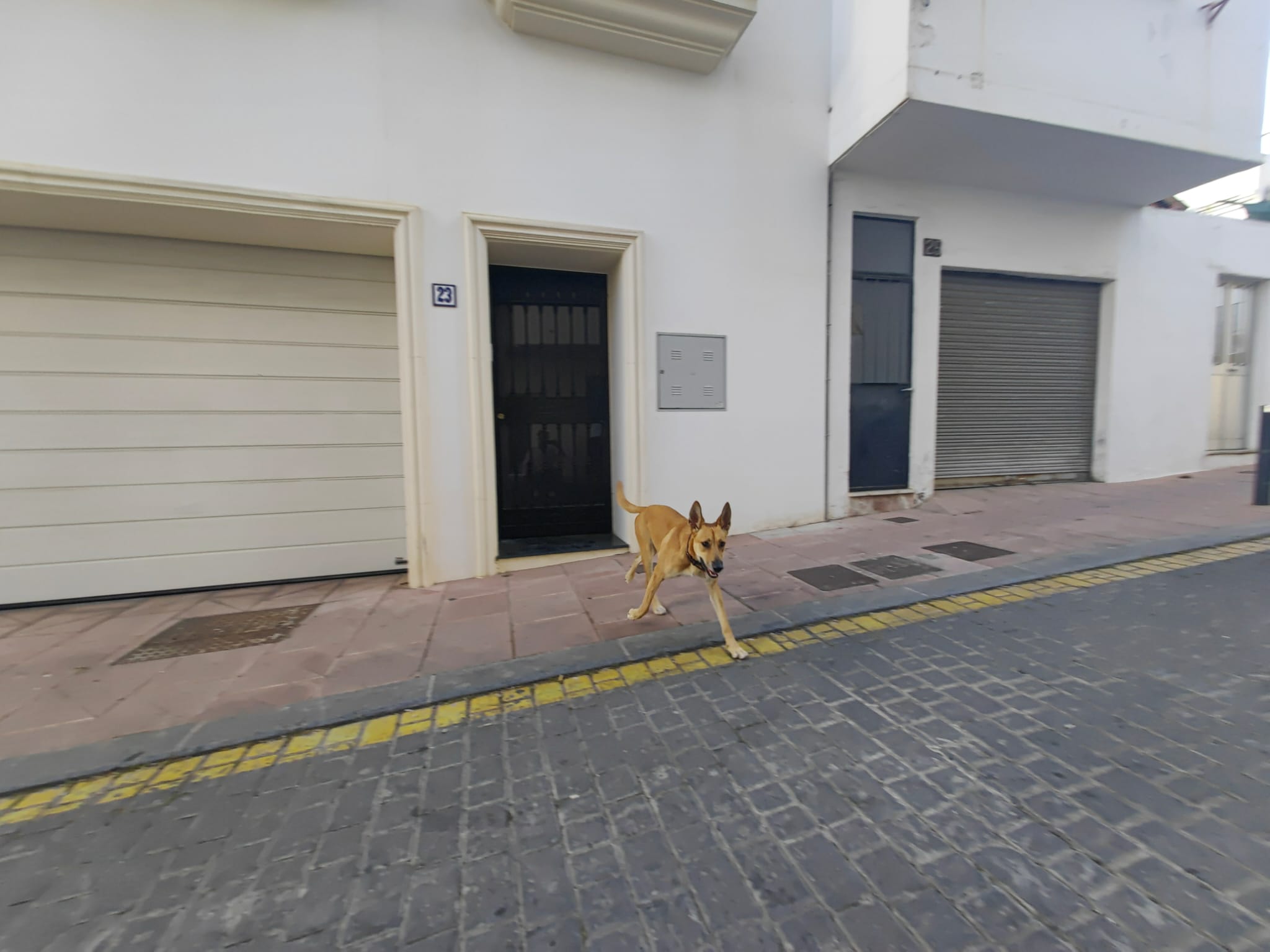 Villa George - Old Town - Image 95