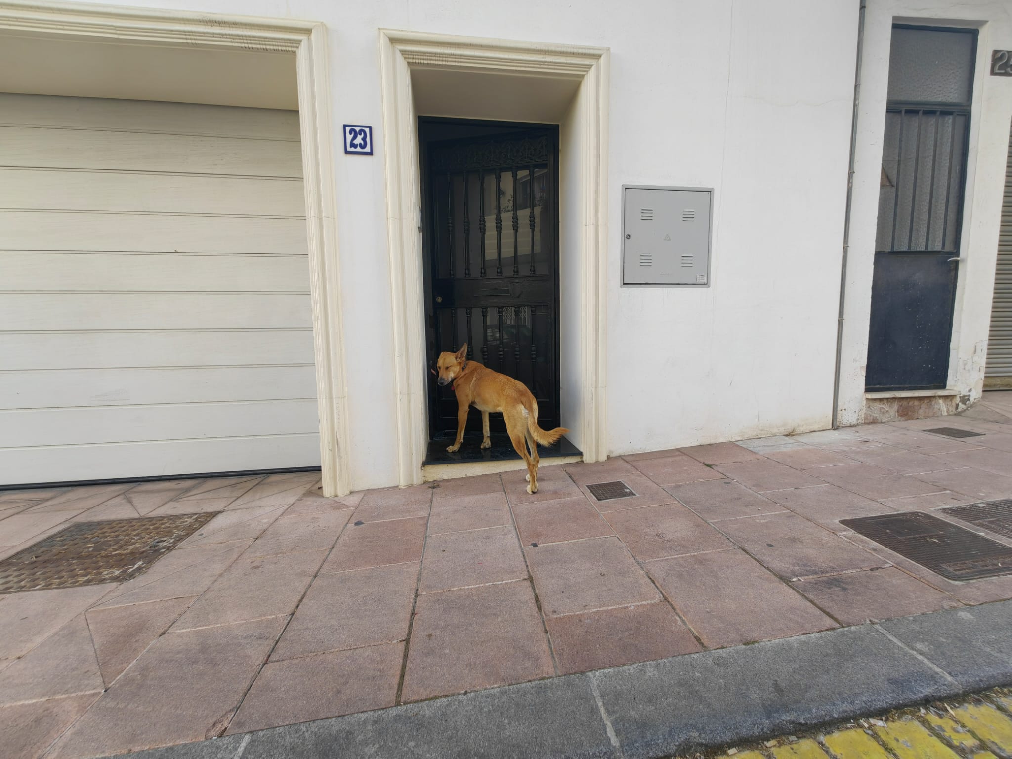 Villa George - Old Town - Image 96