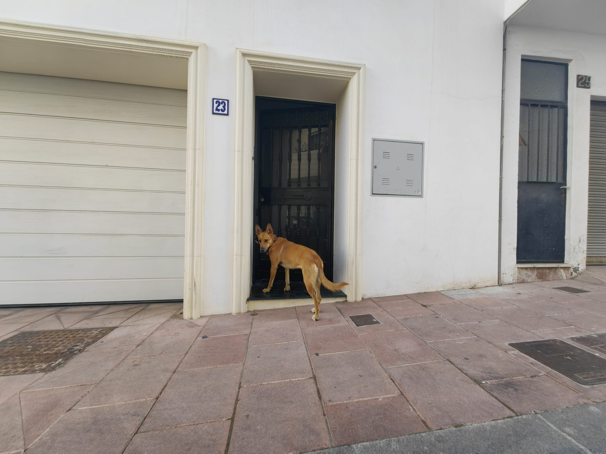 Villa George - Old Town - Image 97